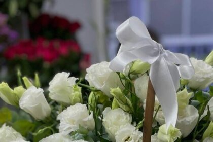 Arı Polenin Faydaları Nelerdir?