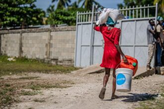 World News in Brief: Violence displaces thousands in Haiti and Lebanon, Gaza updates, UN food agency delivers in Ebola-stricken DR Congo