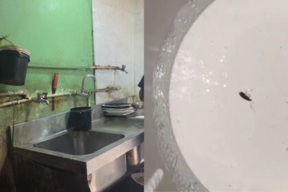 Food Safety Raids At 3 Hyderabad Restaurants Find Dead Cockroaches, Open Drains, And More