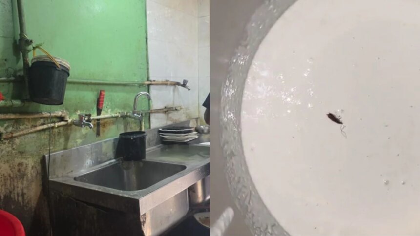 Food Safety Raids At 3 Hyderabad Restaurants Find Dead Cockroaches, Open Drains, And More