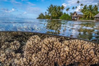 Humanity’s future depends on protecting the rapidly changing ocean
