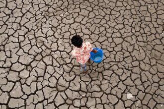 Global temperatures set to stay near record levels: UN weather agency