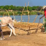 Middle East conflict leaves developing countries paying the price