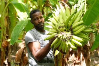 Shockwaves of Middle East war reach Caribbean as food prices soar