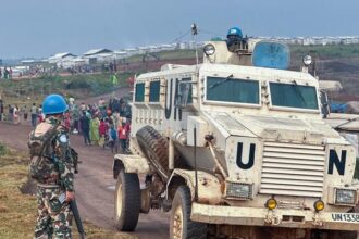 World News in Brief: AI diagnostics, humanitarian deal for DR Congo, rights abuse allegations in Belarus, Ukraine children bear heaviest burden