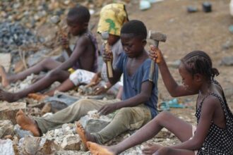 World News in Brief: Call for action against child labour, ICC Prosecutor suspended, WFP raises awareness in Egypt