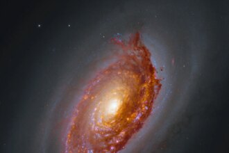 Hubble and Webb image of M64. A massive spiral galaxy glows with a yellow core, surrounded by arms full of orange-brown dust and pink and blue patches of star formation. Framed by a haze of dark dust, the galaxy shines against black space dotted with a few stars.