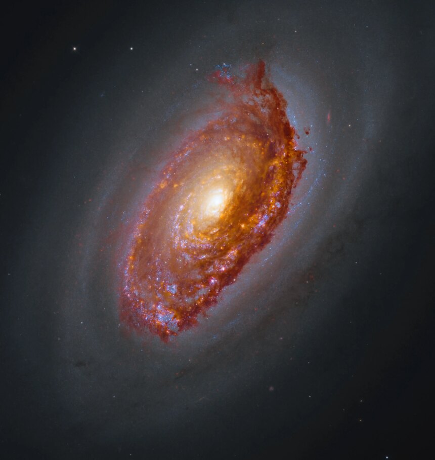 Hubble and Webb image of M64. A massive spiral galaxy glows with a yellow core, surrounded by arms full of orange-brown dust and pink and blue patches of star formation. Framed by a haze of dark dust, the galaxy shines against black space dotted with a few stars.