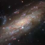 A close view of spiral galaxy that is tilted at an angle, so that its disk fills the view from corner to corner. Its disk is yellow near to the center and pale blue farther out, showing cooler and hotter stars, respectively. Thin brown clouds of dust, glowing pink spots of star formation, and sparkling blue patches filled with star clusters swirl through the galaxy. Behind it, small orange dots are very distant galaxies.