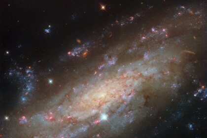 A close view of spiral galaxy that is tilted at an angle, so that its disk fills the view from corner to corner. Its disk is yellow near to the center and pale blue farther out, showing cooler and hotter stars, respectively. Thin brown clouds of dust, glowing pink spots of star formation, and sparkling blue patches filled with star clusters swirl through the galaxy. Behind it, small orange dots are very distant galaxies.