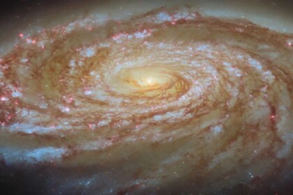 A large spiral galaxy. It is seen tilted at an angle, so that it is foreshortened and appears very wide. Its tightly-wound, blue spiral arms swirl out from its glowing center, spreading apart at the tips. They are followed by strands and clumps of dark red dust and spotted with pink dots where stars are forming in clouds of gas. The galaxy is surrounded by a slight glow and lies on a dark background.