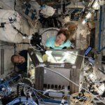 Two people look up at a camera. They each have their arms in gloves that go inside a lit-up rectangular box. We can see their arms through the windows on each side of the box. There are wires all around them inside the International Space Station.