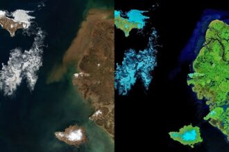 Signs of Thaw in the Bering Sea
