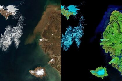 Signs of Thaw in the Bering Sea