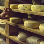 Mouldy Cheese: Can You Still Eat It Or Throw It Away?