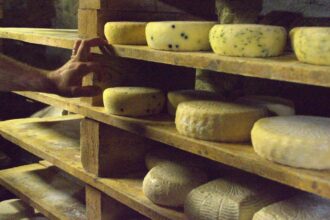 Mouldy Cheese: Can You Still Eat It Or Throw It Away?