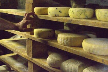 Mouldy Cheese: Can You Still Eat It Or Throw It Away?