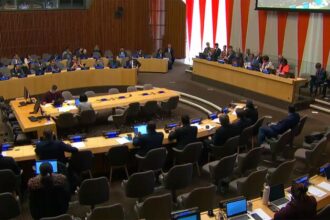 UN80 Initiative: Real progress made on tackling complex issues facing the UN system