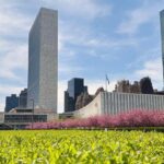 Secretary-General hopefuls make their case in televised ‘interactive dialogues’