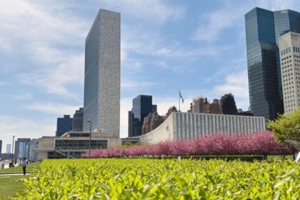 Secretary-General hopefuls make their case in televised ‘interactive dialogues’