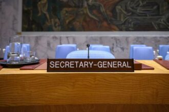 Gender, geography and powerbroking in play in race for next UN chief