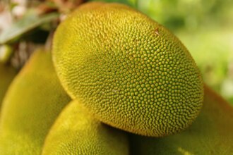 Which Place Is Known As The Jackfruit Capital Of India?