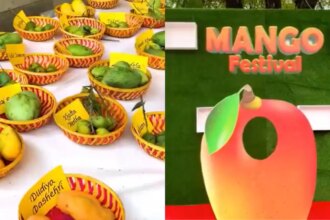 Delhis Favourite Mango Festival Returns! 35th Edition Brings Rare Mangoes, Live Performances And Contests