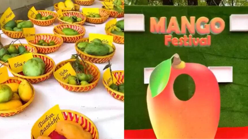 Delhis Favourite Mango Festival Returns! 35th Edition Brings Rare Mangoes, Live Performances And Contests