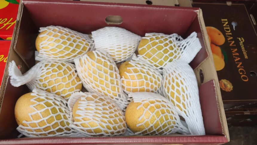 "Excellent Condition, Shelf Life": Singapore Praises Indian Banganapalle Mangoes Exported Via First Sea Shipment