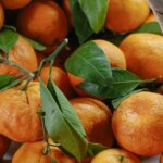 Sirsa Kinnow Gets GI Tag, Becomes Haryanas First Fruit With The Recognition