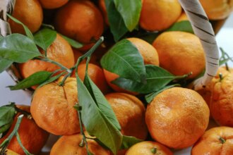 Sirsa Kinnow Gets GI Tag, Becomes Haryanas First Fruit With The Recognition