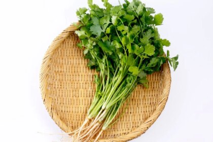 5 Clever Ways To Use Coriander Stems Instead Of Throwing Them Away