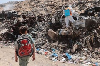 Occupied Palestinian Territory: Aid restrictions in Gaza, ‘senseless’ infant deaths in the West Bank