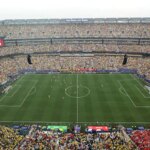 FIFA World Cup Final Pitch For Sale, Get It For This Price Per Piece