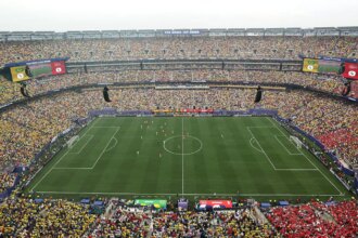 FIFA World Cup Final Pitch For Sale, Get It For This Price Per Piece