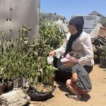 Reviving communities home by home in Gaza
