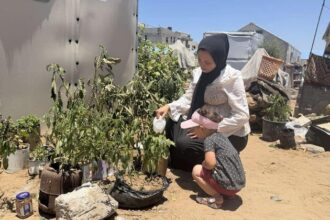 Reviving communities home by home in Gaza