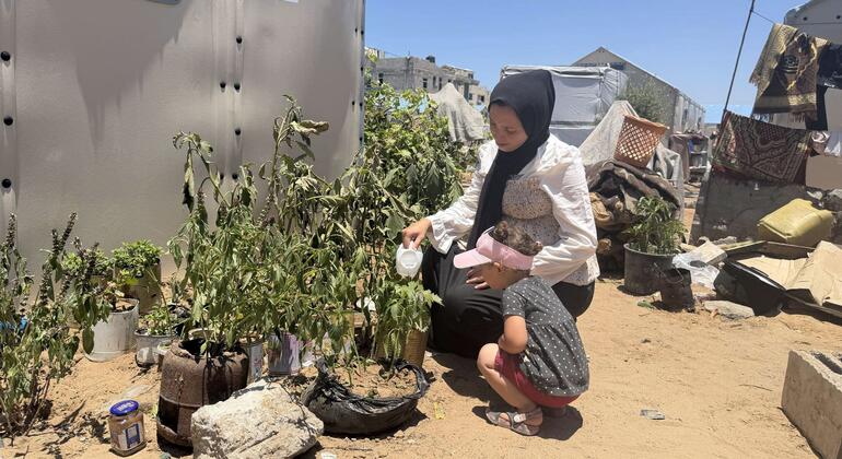 Reviving communities home by home in Gaza