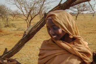 Looted gold and gum arabic are bankrolling Sudan's war, UN warns