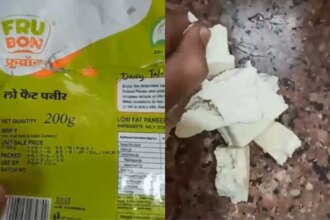 Video: Customer Complains Blinkit Delivered Fake Fru Bon High-Protein Paneer, Company Responds
