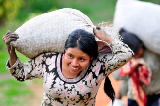 Colombia: Pockets of insecurity challenge ‘vibrant democracy’, Security Council told