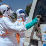 WHO warns DR Congo Ebola outbreak is outpacing response as Uganda reaches milestone