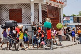 Haiti: Signs of hope despite gang violence and political uncertainty
