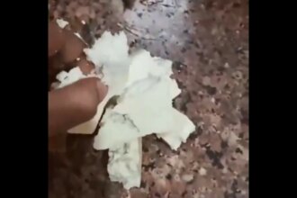 Video: Customer Complains Blinkit Delivered Fake High-Protein Paneer, Company Responds