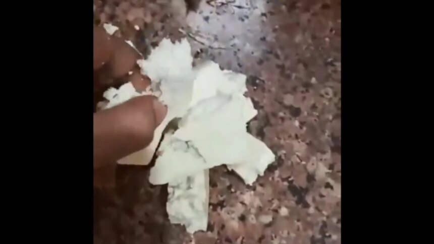 Video: Customer Complains Blinkit Delivered Fake High-Protein Paneer, Company Responds