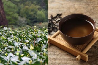 Worlds Most Expensive Tea That China Banned, Costs Rs 9 Crore/Kg