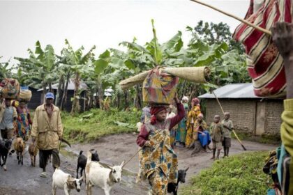 World News in Brief: Sexual violence in DR Congo, deaths in Ukraine and Russia, crime in Southeast Asia
