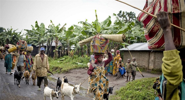 World News in Brief: Sexual violence in DR Congo, deaths in Ukraine and Russia, crime in Southeast Asia