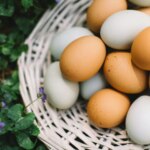 Which City Is Known As The Egg Capital Of India?