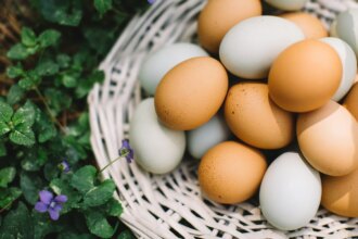 Which City Is Known As The Egg Capital Of India?